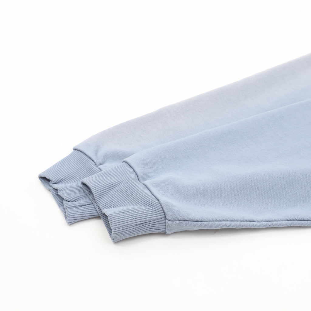 Balenciaga Political Campaign Logo Hoodie — Powder Blue